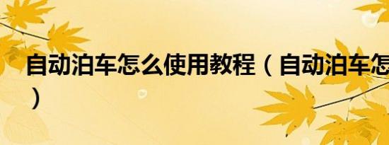 自动泊车怎么使用教程（自动泊车怎么使用?）