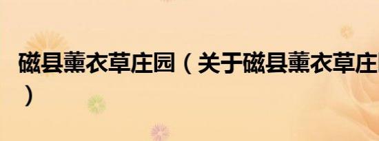 磁县薰衣草庄园（关于磁县薰衣草庄园的介绍）