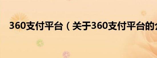 360支付平台（关于360支付平台的介绍）