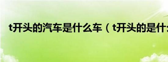 t开头的汽车是什么车（t开头的是什么车）
