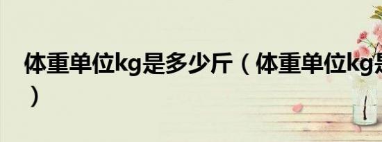 体重单位kg是多少斤（体重单位kg是多少斤）