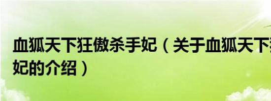 血狐天下狂傲杀手妃（关于血狐天下狂傲杀手妃的介绍）