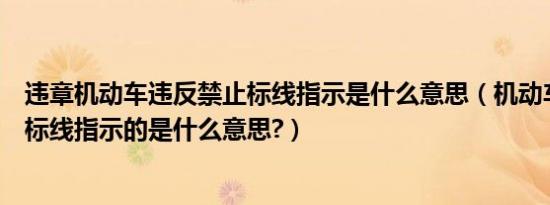 违章机动车违反禁止标线指示是什么意思（机动车违反禁止标线指示的是什么意思?）