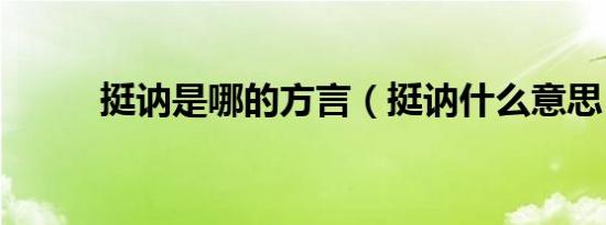 挺讷是哪的方言（挺讷什么意思）