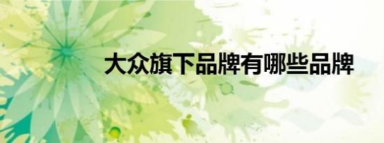 大众旗下品牌有哪些品牌