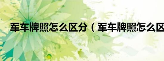 军车牌照怎么区分（军车牌照怎么区分?）