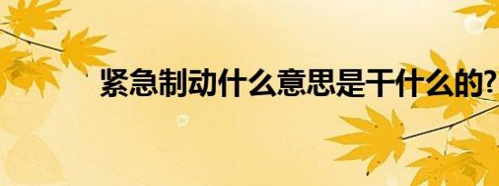紧急制动什么意思是干什么的?
