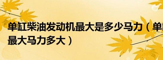 单缸柴油发动机最大是多少马力（单缸发动机最大马力多大）