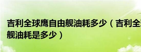 吉利全球鹰自由舰油耗多少（吉利全球鹰自由舰油耗是多少）