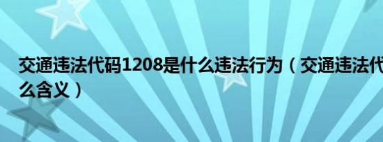 交通违法代码1208是什么违法行为（交通违法代码1208什么含义）