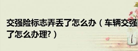 交强险标志弄丢了怎么办（车辆交强险标志丢了怎么办理?）