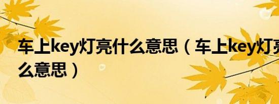 车上key灯亮什么意思（车上key灯亮了是什么意思）
