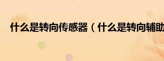 什么是转向传感器（什么是转向辅助灯?）