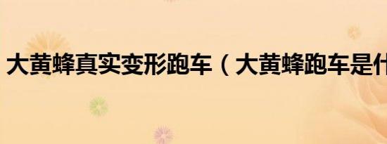 大黄蜂真实变形跑车（大黄蜂跑车是什么车）