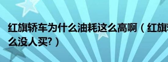 红旗轿车为什么油耗这么高啊（红旗轿车为什么没人买?）