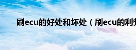 刷ecu的好处和坏处（刷ecu的利弊）