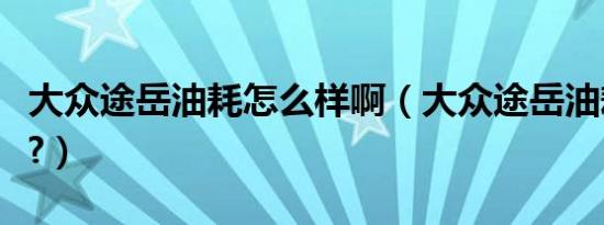 大众途岳油耗怎么样啊（大众途岳油耗怎么样?）