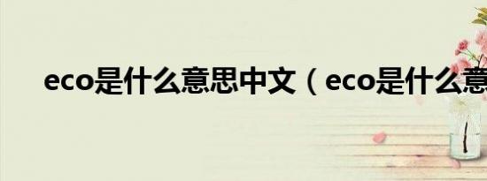 eco是什么意思中文（eco是什么意思）