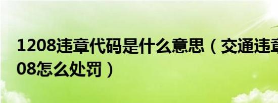1208违章代码是什么意思（交通违章代码1208怎么处罚）