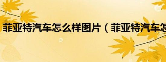 菲亚特汽车怎么样图片（菲亚特汽车怎么样）