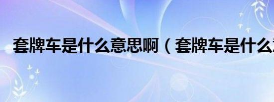 套牌车是什么意思啊（套牌车是什么意思）