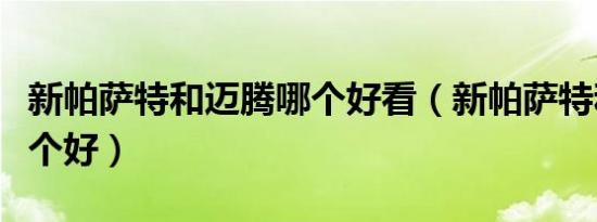 新帕萨特和迈腾哪个好看（新帕萨特和迈腾哪个好）