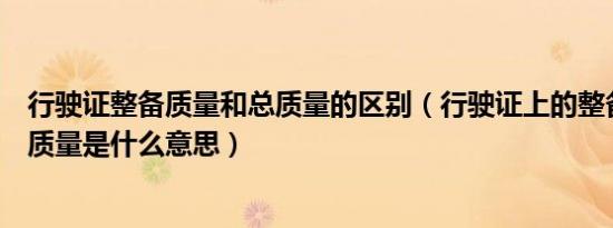 行驶证整备质量和总质量的区别（行驶证上的整备质量和总质量是什么意思）