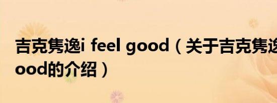 吉克隽逸i feel good（关于吉克隽逸i feel good的介绍）