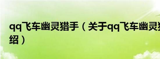 qq飞车幽灵猎手（关于qq飞车幽灵猎手的介绍）