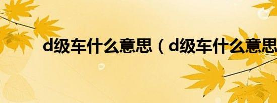 d级车什么意思（d级车什么意思）