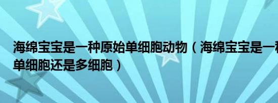 海绵宝宝是一种原始单细胞动物（海绵宝宝是一种什么动物单细胞还是多细胞）