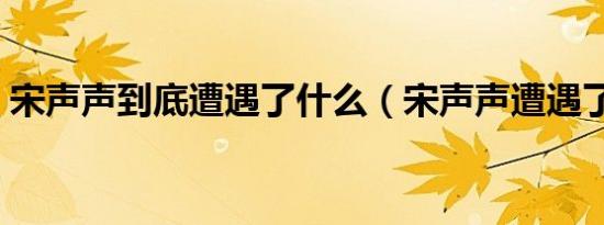 宋声声到底遭遇了什么（宋声声遭遇了什么）