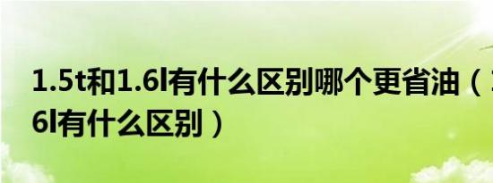 1.5t和1.6l有什么区别哪个更省油（1.5t和1.6l有什么区别）