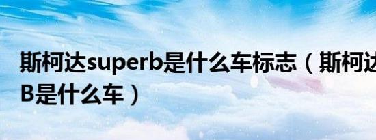 斯柯达superb是什么车标志（斯柯达SUPERB是什么车）