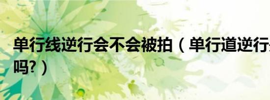 单行线逆行会不会被拍（单行道逆行是自动拍吗?）