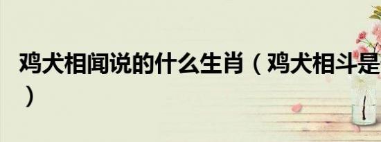 鸡犬相闻说的什么生肖（鸡犬相斗是什么生肖）