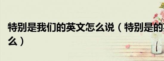 特别是我们的英文怎么说（特别是的英文是什么）