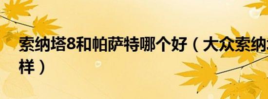 索纳塔8和帕萨特哪个好（大众索纳塔8怎么样）