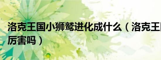 洛克王国小狮鹫进化成什么（洛克王国小狮鹫厉害吗）