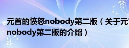 元首的愤怒nobody第二版（关于元首的愤怒nobody第二版的介绍）