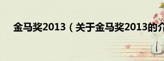 金马奖2013（关于金马奖2013的介绍）