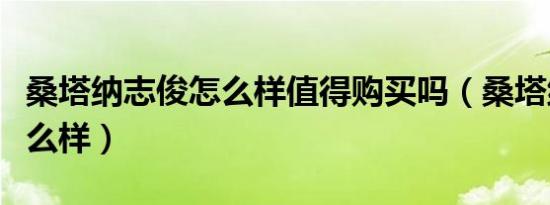 桑塔纳志俊怎么样值得购买吗（桑塔纳志俊怎么样）