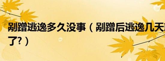 剐蹭逃逸多久没事（剐蹭后逃逸几天就不追究了?）