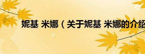 妮基 米娜（关于妮基 米娜的介绍）
