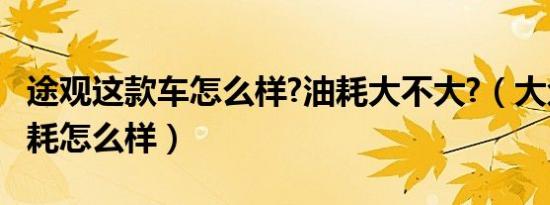 途观这款车怎么样?油耗大不大?（大众途观油耗怎么样）