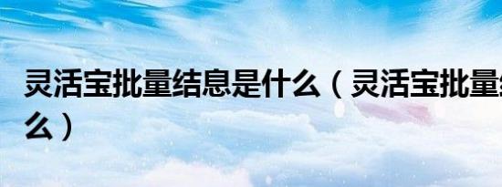 灵活宝批量结息是什么（灵活宝批量结息是什么）