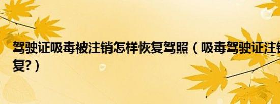 驾驶证吸毒被注销怎样恢复驾照（吸毒驾驶证注销后如何恢复?）