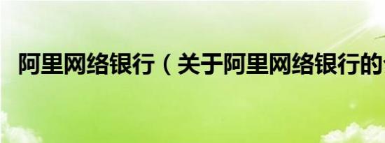 阿里网络银行（关于阿里网络银行的介绍）