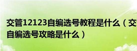 交管12123自编选号教程是什么（交管12123自编选号攻略是什么）