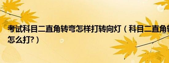 考试科目二直角转弯怎样打转向灯（科目二直角转弯转向灯怎么打?）